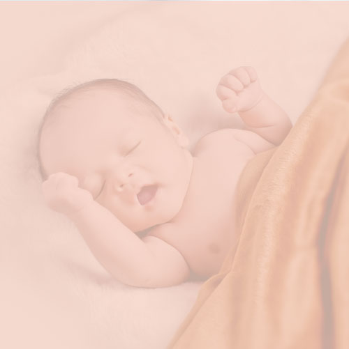 categorie-background-4